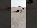 Daily Dose of pushup day 25