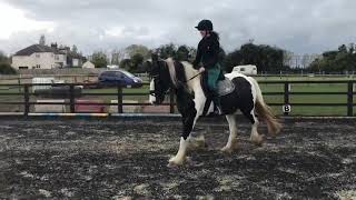 Flatwork edit | learning walk to canter