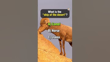 The Ultimate Animal Quiz!