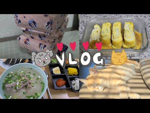 고영희님과 함께하는 11월 일상vlog