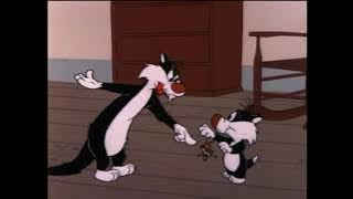 Warner Bros Cartoon-Sylvester-name of episode 