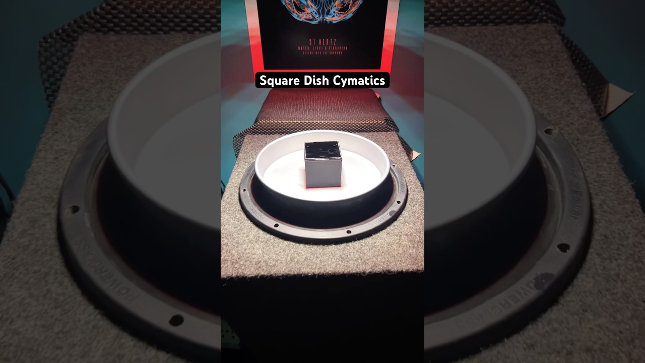 Square Dish Cymatics🌀 