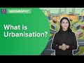 Urbanization: Exploring Its Impact on Society and Environment