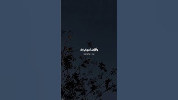 أكتب/ي أي شيء تؤجر عليه ⭐ #المصحف #القرآن_الكريم #تلاوة_خاشعة