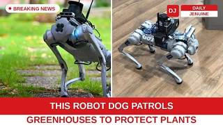 This Robot Dog Patrols Greenhouses To Protect Plants | AI Crop Monitoring