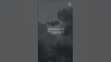 قال رب لم حشرتنى أعمى وقد كنت بصيرا 🌿 حالات واتس اب قران🌿 تلاوة مبكيه للشيخ #عبدالله_كامل  🌿
