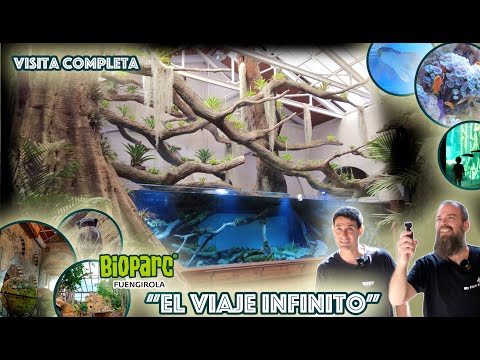 Visitamos Bioparc Fuengirola "El Viaje Infinito" 1 millón de litros de agua y muchas sorpresas!!!