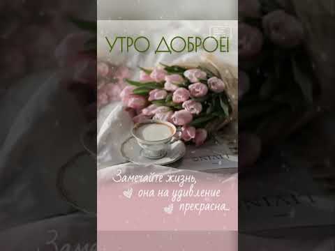 С Добрым утром! Желаю, чтобы в душе всегда была весна! 💐💐💐 #доброеутро #цветы #сдобрымутром