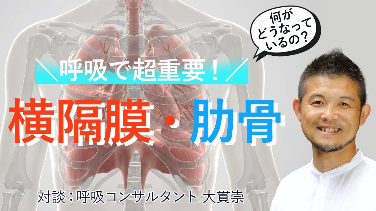 呼吸で超重要な「横隔膜・肋骨」何がどうなっている？呼吸コンサルタント：大貫崇先生に教えていただきました