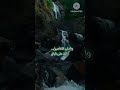 على البال كل التفاصيل حالات واتس محمد عبدع على البال كل التفاصيل حالات واتس محمد عبدع
