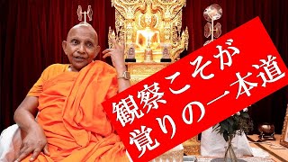 【圧倒的富と繁栄の引寄せ!人生の羅針盤】セレーネ・ルミナリア様✨3333日祈祷✨ Observation is the only path to enlightenment: Questions