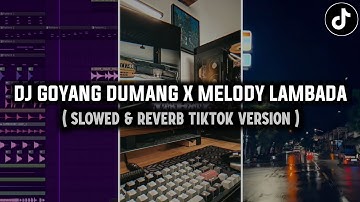 DJ GOYANG DUMANG X STYLE LAMBADA SQEZEE NOSO - SLOWED & REVERB TIKTOK