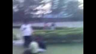 krishna video 3gp