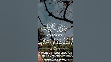 سورة النازعات #نصائح_دينية #قرآن #ترند #quran #القرآن_الكريم #اكسبلور #ثقافة_إسلامية #الشيخ