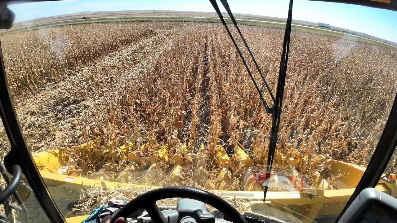 На кукурузу, взорванные гидромоторы