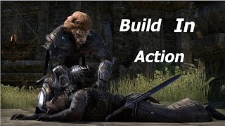 [Elder Scrolls Online] Nightblade Leveling Build in Action