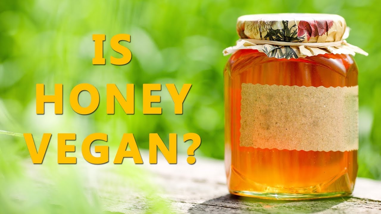 IS HONEY VEGAN? (The Answer Will Mildly Surprise You) | Q