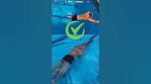 Breaststroke for Swimming Beginners — Frog Kick Technique