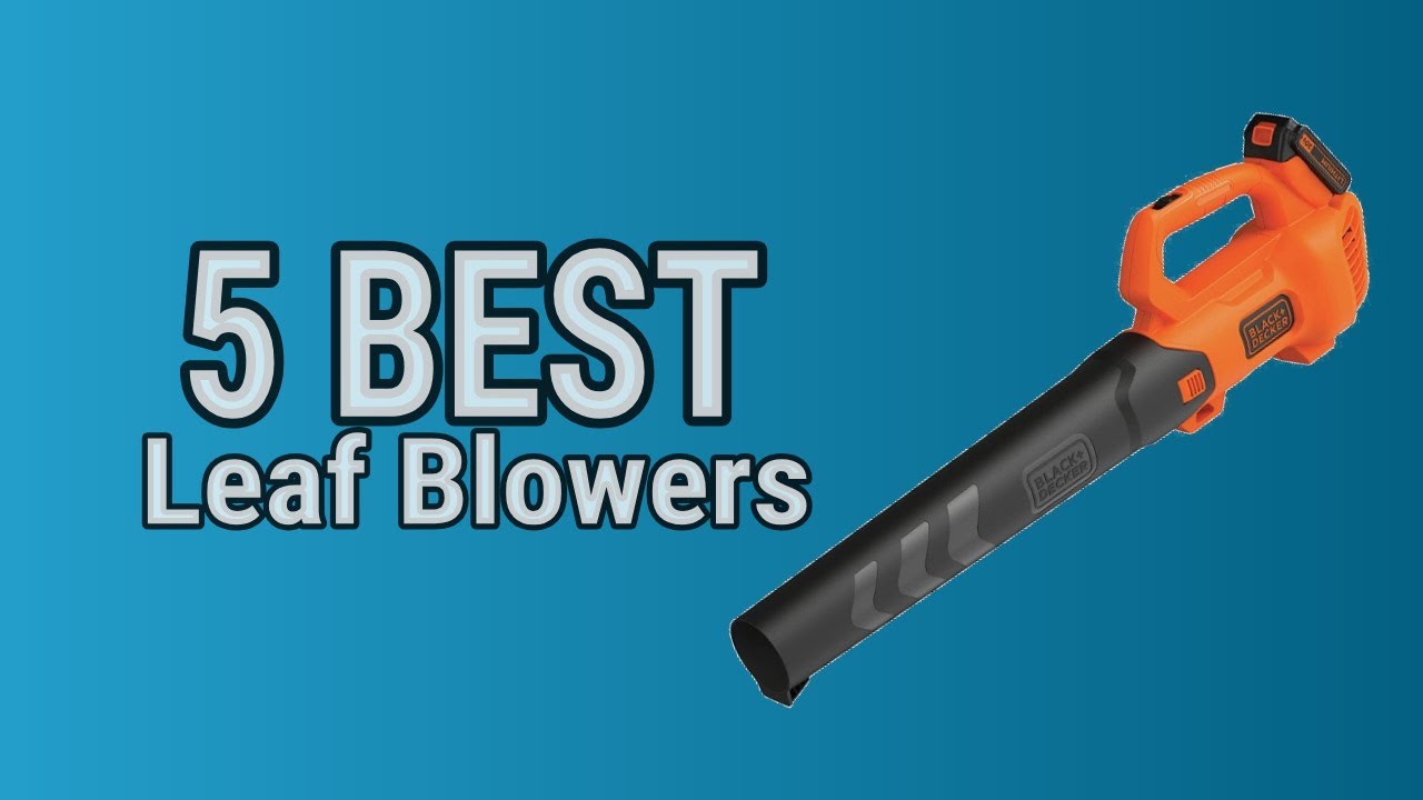 5 Best Leaf Blowers YouTube