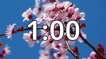 1 Minute Timer with Music | Cherry Blossom Timer