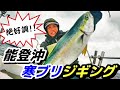 『青物乱舞』今が絶好調！能登沖寒ブリジギングが釣れすぎた！