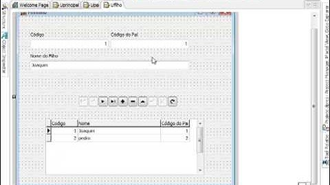 Aula 3 Criando Layout Formulário Delphi