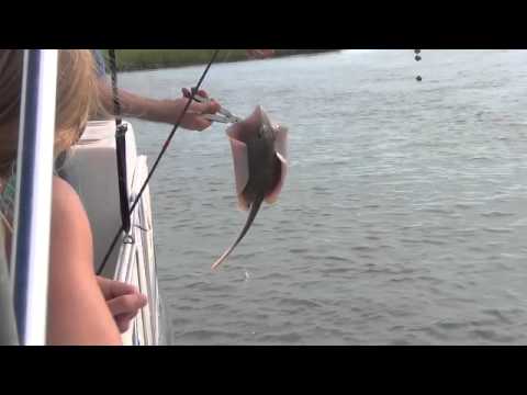 stingray bite