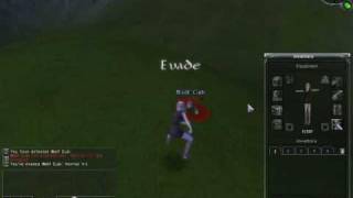 Regnum Online Beginner Video