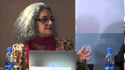 Side Event - Nancy Mock on Components of a Measurement Framework for Resilience (2)