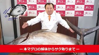 本マグロ解体〜サク取り手順