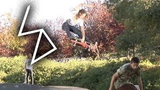 Shep Dawgs: Roll Dawgs 1