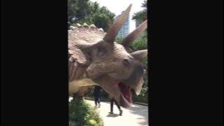 dinosaur  phlanet  in  thailand◟̆◞̆♡