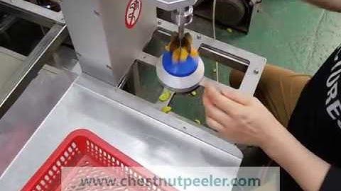 Apricot seed remover machine