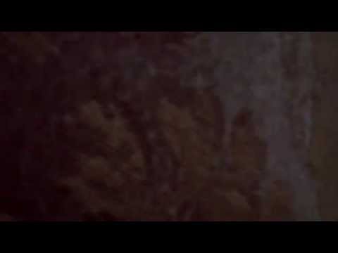 Nokia 6133 Video clips - PhoneArena