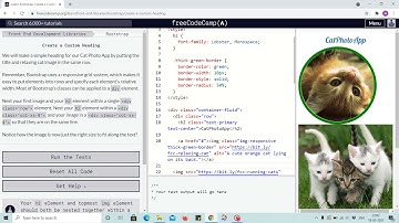 Bootstrap Tutorial 12 - Creating custom heading - freecodecamp