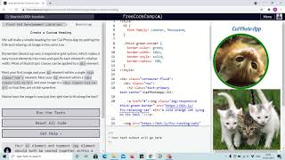 Bootstrap Tutorial 12 - Creating custom heading - freecodecamp