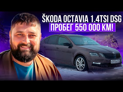 Для нее 550 000 км не пробег! SKODA OCTAVIA A7FL 1.4 TSI DSG