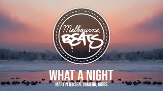 Martin Jensen, VAMERO, Gibbs - What A Night Resimi