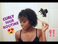 Curly Hair Routine | First time using Diffuser