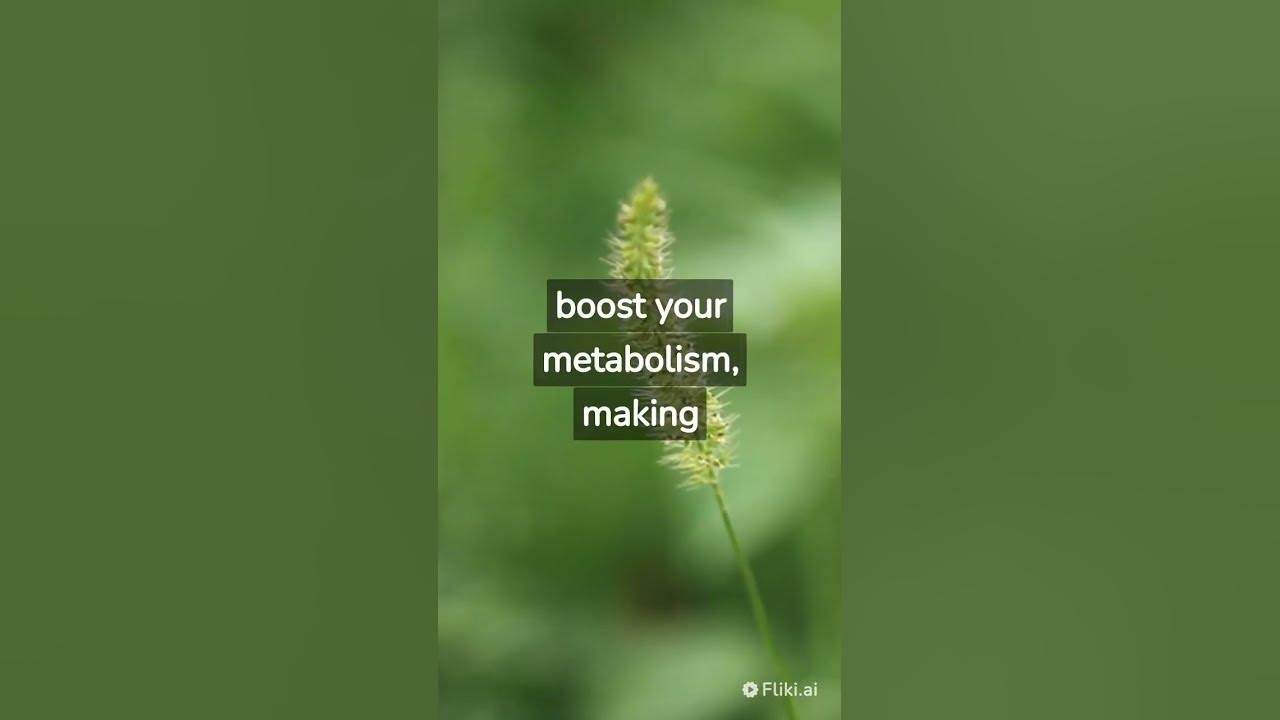easiest-way-to-lose-fat-fast-youtube