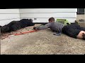 Skedaddle Wildlife Franchise Support - Marcus Mueller, Skedaddle Milwaukee
