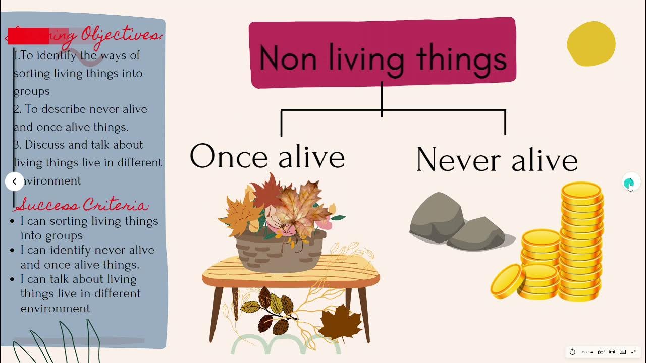 Wk 35 Never Been Alive (Teacher's Explanation) YouTube