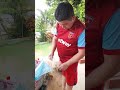 preparando pepino