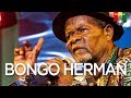 Bongo Herman Live at the Bob Marley Celebrations 2019