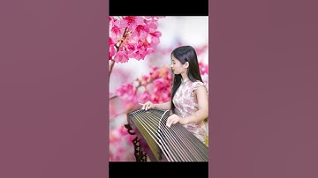Guzheng instrument 38