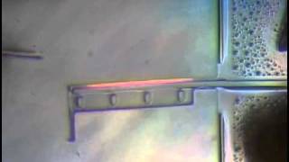 Thermal Actuator - 3