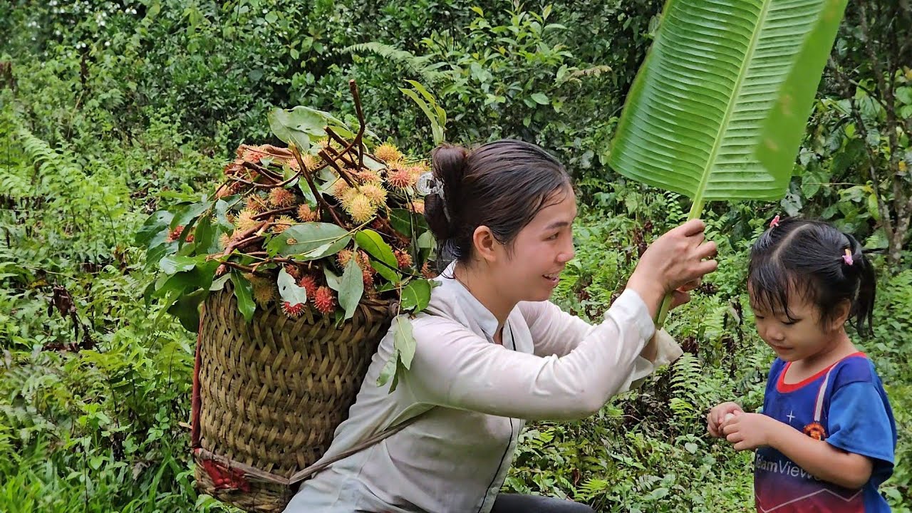 picking wild rambutan with daughter to sell - single mother with daughter