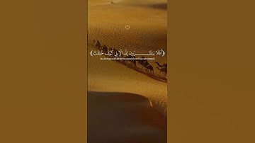 أفلا ينظرون إلى الإبل كيف خُلقت؟ | تلاوة هادئة بصوت جميل من سورة الأعلى - القارئ عبدالله أحمد شعبان