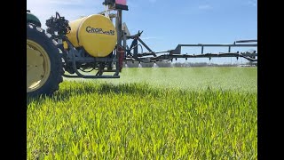 New Research on How to Apply Residual Herbicides when Planting Green