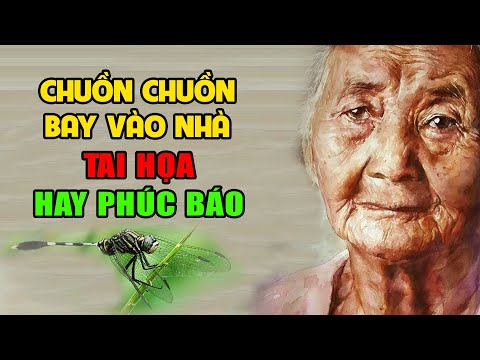 Video Tự Nhiên CHUỒN CHUỒN BAY VÀO NHÀ Là Điềm Báo Xấu Hay... - youtube